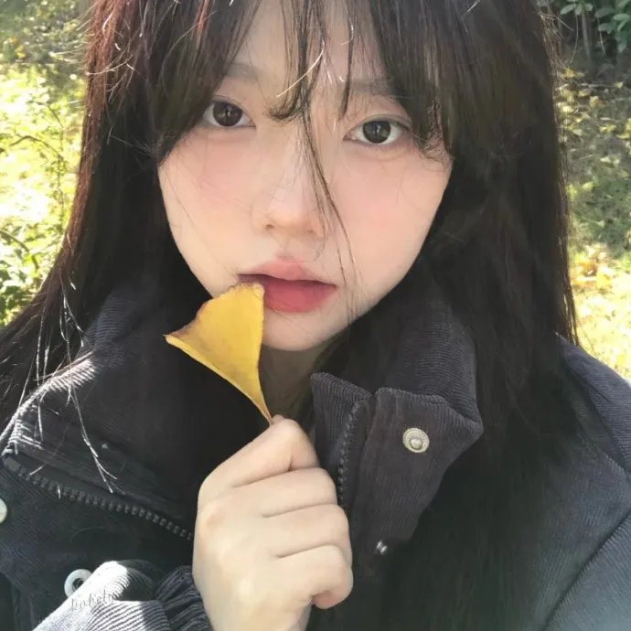 仙王的日常生活第四季